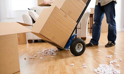 Need #packaging? then #fatcatremovals is the place! Prices from £1.99 for #boxes and £4.50 for #bubblewrap!  Check out all the products on our website ow.ly/WExC30khPe6   #packaging #boxes #colchester #moving #87RT