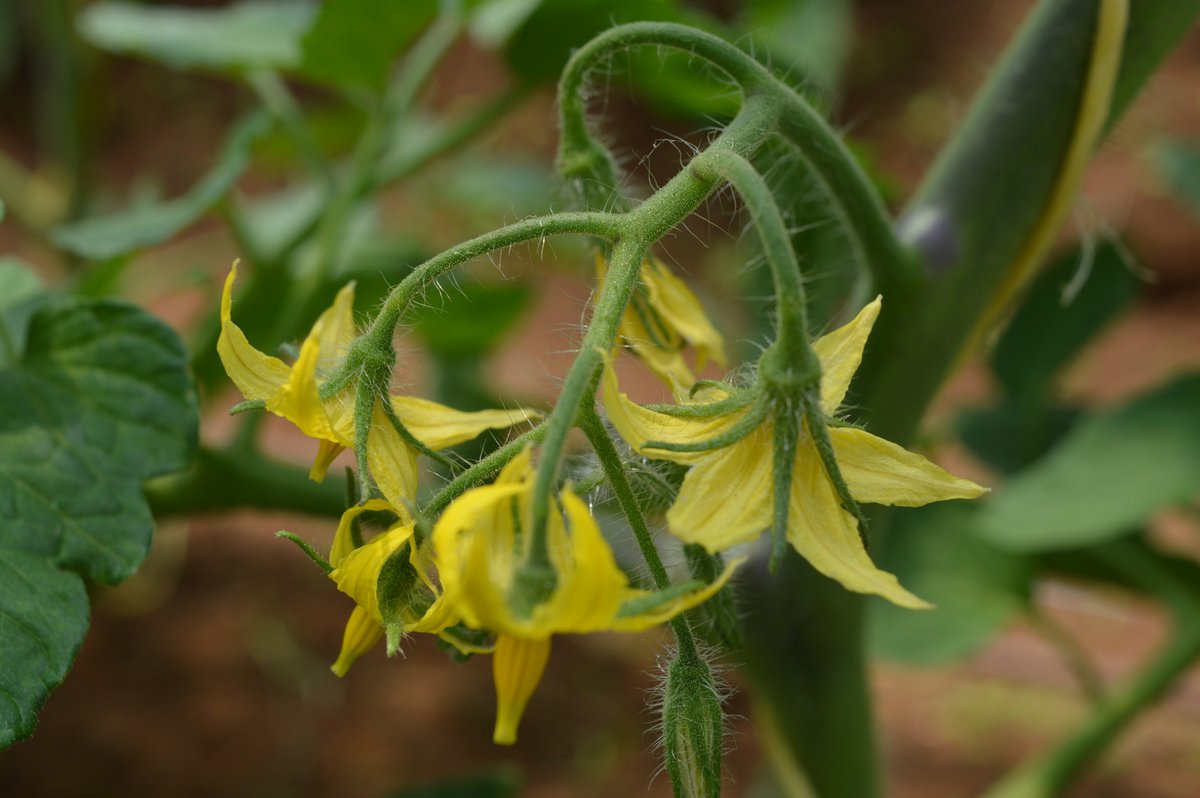 <a href="/EafSolidaridad/">Solidaridad EAF</a> we believe in change that matters!