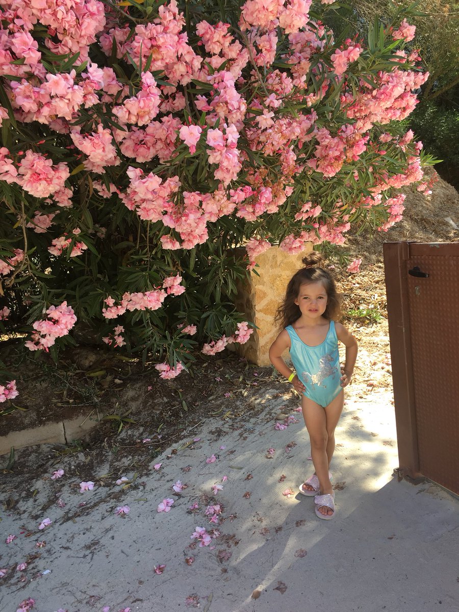StaceyleeMcF's tweet photo. Having a wonderful holiday with @MartinDMcFadyen & Taylor Tots #Wellneededrest βοΈβοΈπππ» https://t.co/aGXhPY8vuJ