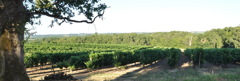 Vynoguru's tweet photo. Šedevrai iš Domaine Horgelus: https://t.co/NWOMoE46NO https://t.co/7nGa1Wnv6n