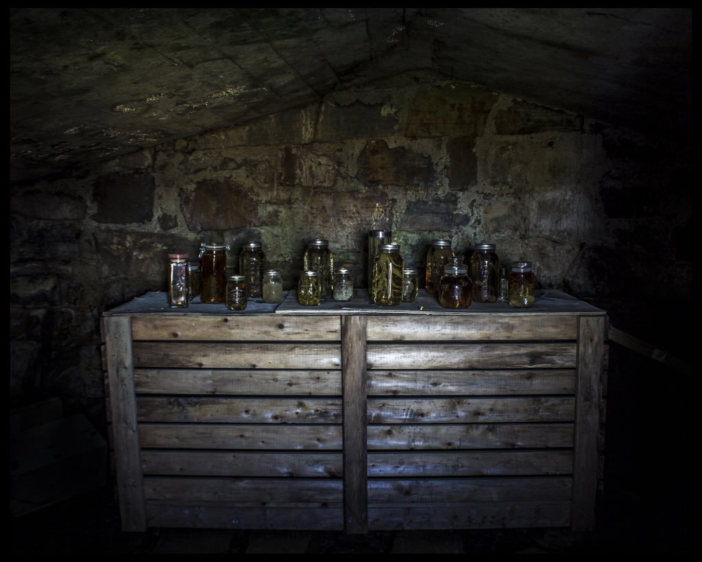 Have you ever seen the view from inside a root cellar? 
Experience Root Cellars and so much more #RRR2018 #ExploreNL #Newfoundland #Elliston #nlfood