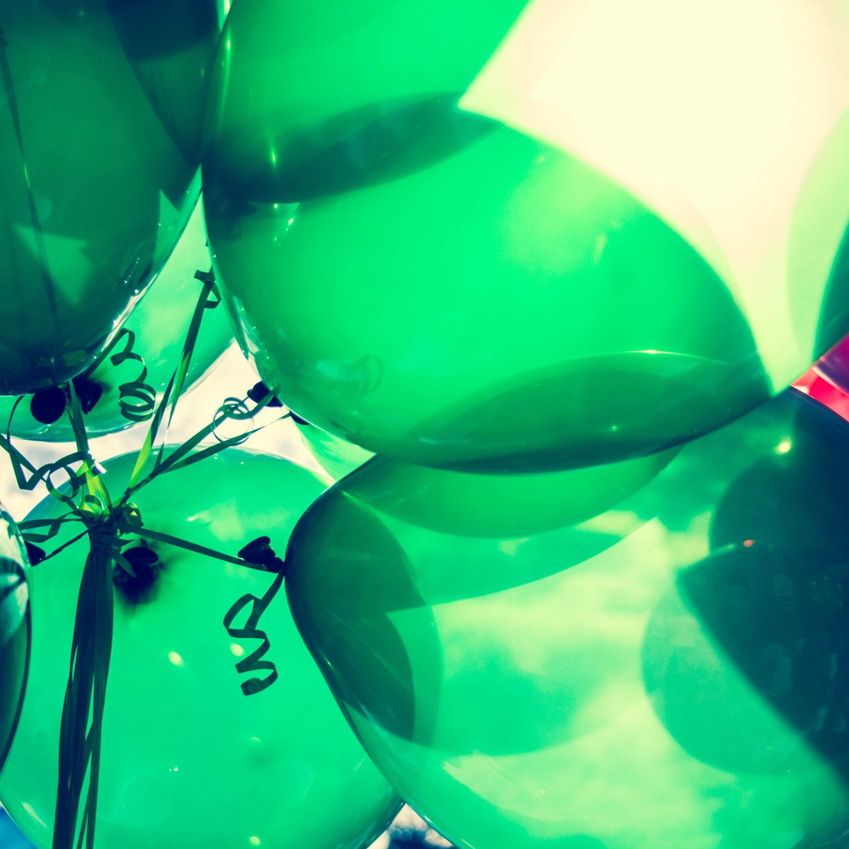 2 weeks and counting until Thistle Express Luton's 1st birthday!  We couldn't be more excited! bit.ly/2I3jfmj