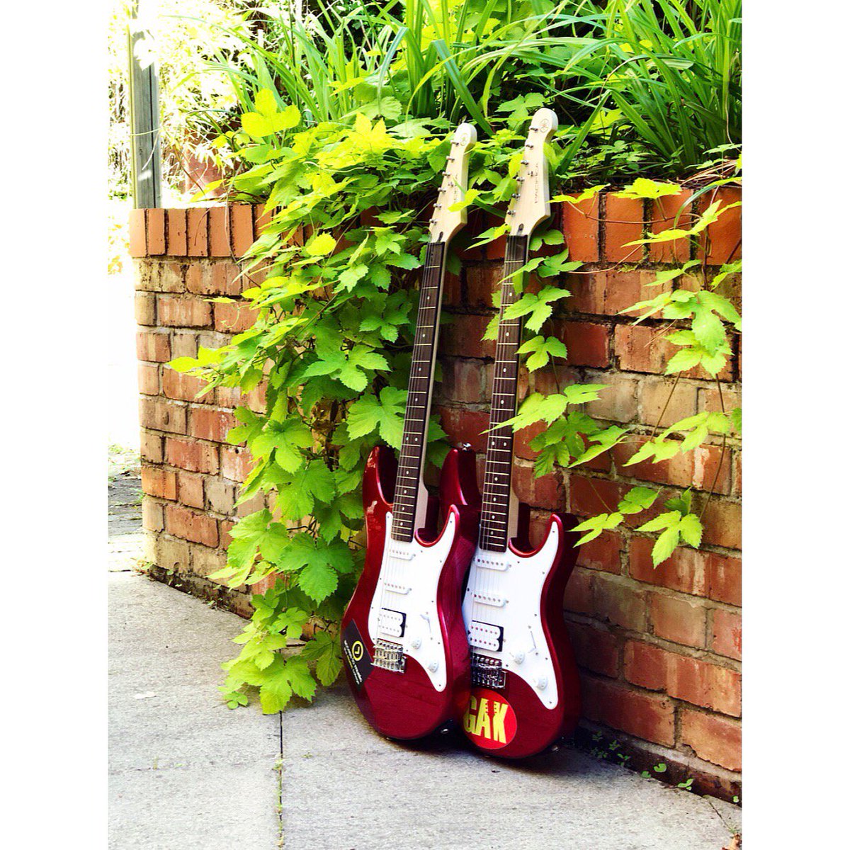 Access_Creative's tweet photo. GIVEAWAY - in the spirit of #WorldMusicDay we are giving away SIX Yamaha Pacifica electric guitars 🎸All you have to do is retweet this post to be in with a chance of winning...
@GAK_CO_UK @YamahaUK 
T&amp;C's: https://t.co/xaEVHF8hKf https://t.co/FU8AJCbpcG
