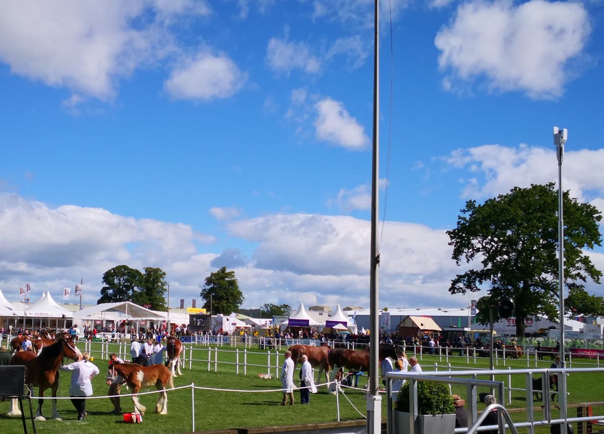 Why_SettlePaul's tweet photo. How many wireless access points can you spot at the Royal Highland Show? There's >100. https://t.co/kQ8ounjtqG