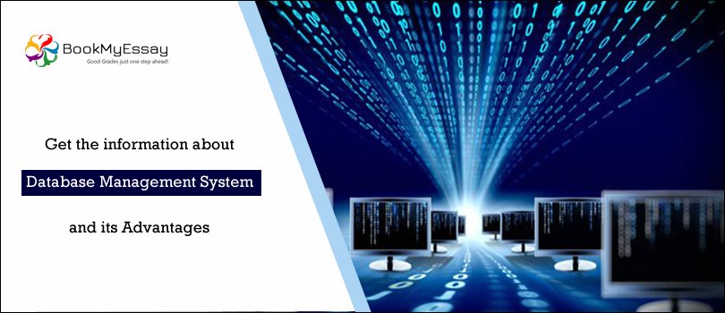 Book_My_Essay's tweet image. Get the information about Database Management System and its Advantages | goo.gl/2cGfuk
#DatabaseManagementAssignmentHelp