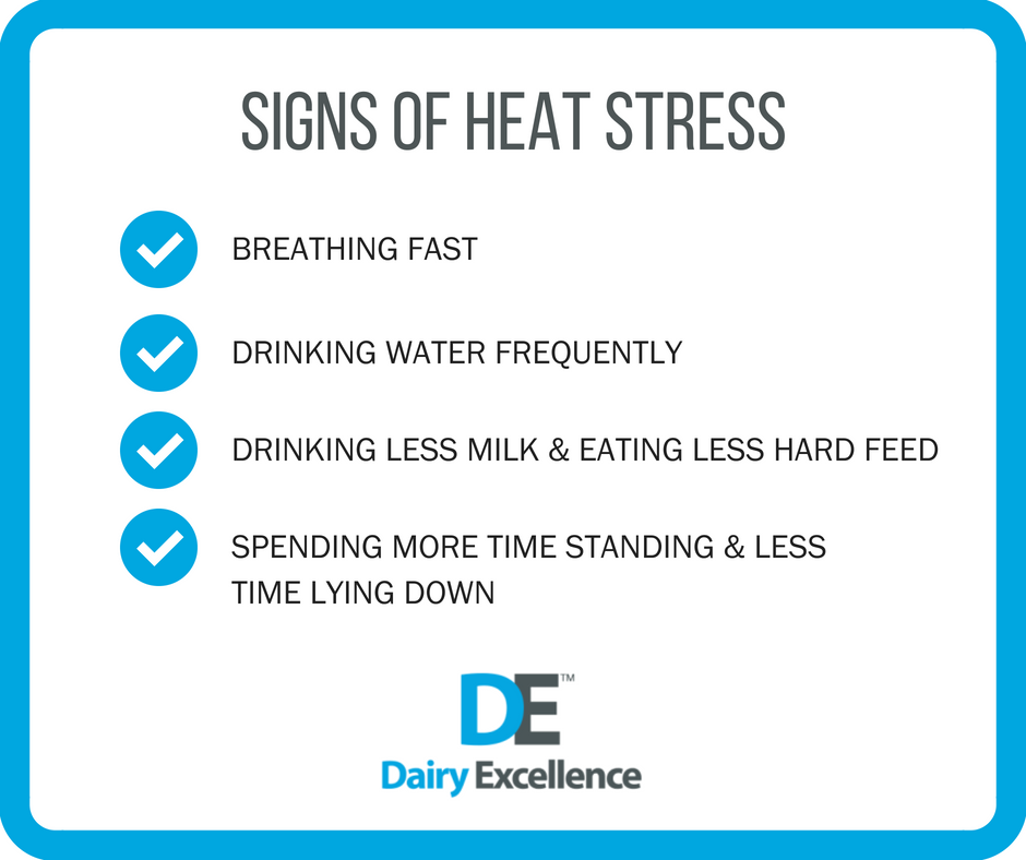 The #forecast shows a warm spell forthcoming - watch out for signs of heat stress in your calves #CalfRearing #HeatStress #HappyCalves #TeamDairy loom.ly/dTa1TPE