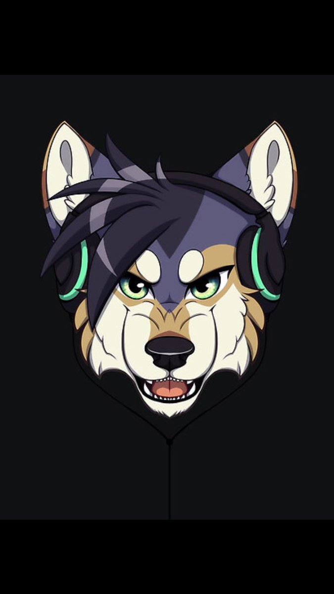 Волк бит. Wolf grey вк. Логотип группы crywolf. Wolf cut male. Вольф лист фото.