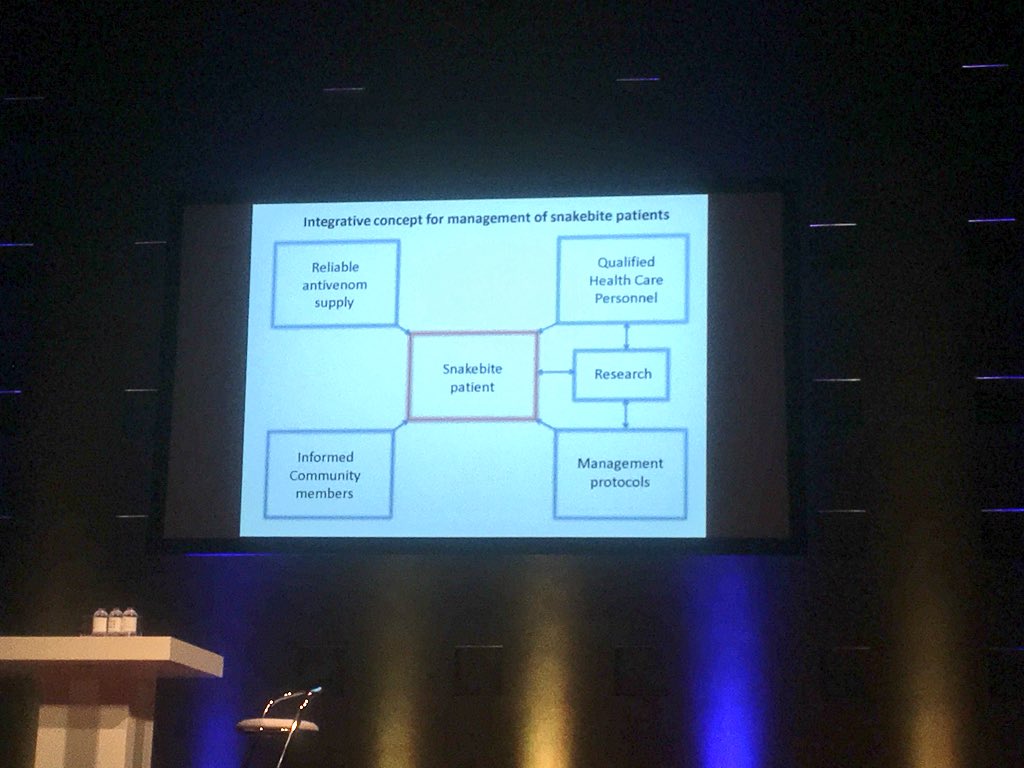 Diogo Martins tweet media