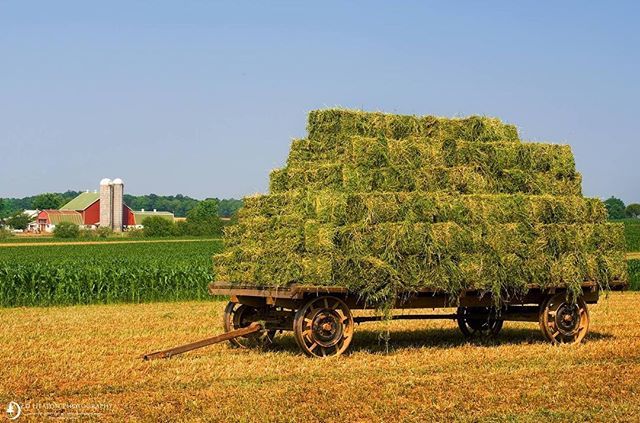 Ed_Heaton's tweet image. It&apos;s that time of year here in Lancaster County :-) edheaton.com | OP/TECH USA | Singh-Ray Filters | Really Right Stuff | HoodmanUSA | Topaz Labs | | #OPTECHUSAAmbassador | #ImageMaster | #Hoodman | #MasterofLight | #BestofLight | #SinghRayAm… ift.tt/2K9gnX7