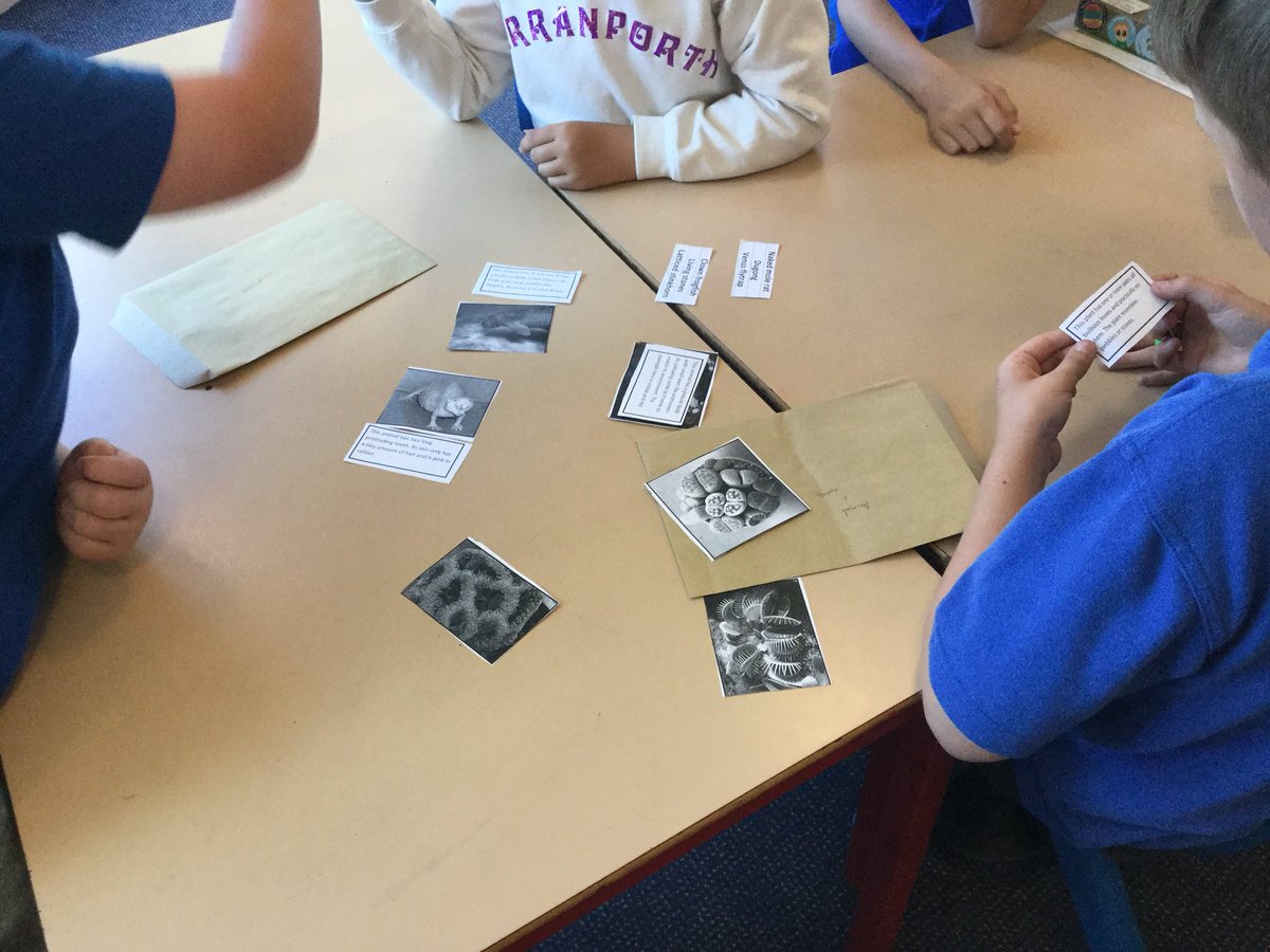 Y5SpruceClass's tweet photo. We are looking at the scientific descriptions of living things to classify them #livingthings #science #classification https://t.co/FYKvkddcJO