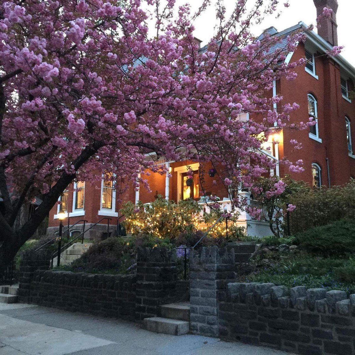 MoniqueAkwaaba's tweet photo. Our new inn, Akwaaba Philadelphia, opening this summer!
#akwaabainns
#themansionatnoblelane
#travelnoire
#essence
#blackenterprise
#travel+leisure
#OWN
#CheckedInn
#Philly https://t.co/xYEcNeGMfx