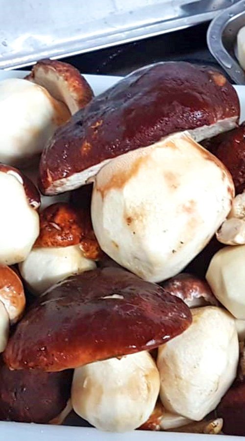 Hecho acopio de setas y hongos silvestres, sobre todo del boletus para nuestros platos rabo de toro estofado con boletus.

Ya comienza el verano y te invitamos a que pases por Atienza y vengas a vernos. elmiradordeatienza.com/la-carta

¡¡Feliz verano a todos!!! 🌞⛱️🌊🏊‍♀️