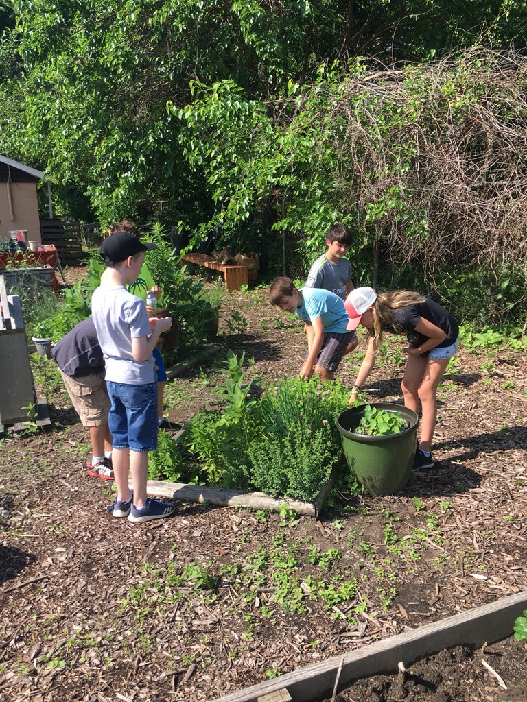JGeddes56's tweet photo. Learning, helping, and exploring in the Kingsville Access Community Garden!  🍓🥦🍅🥒#@KingsvilleCobra @accesscounty https://t.co/YAmDda8Inw
