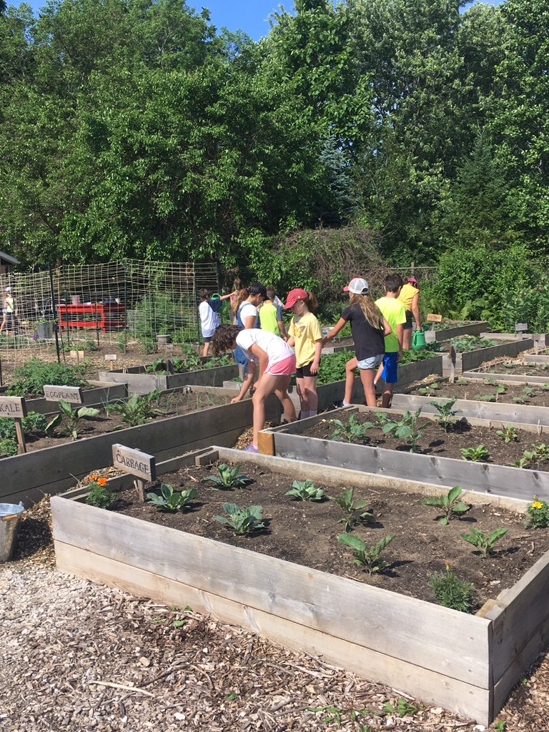 JGeddes56's tweet photo. Learning, helping, and exploring in the Kingsville Access Community Garden!  🍓🥦🍅🥒#@KingsvilleCobra @accesscounty https://t.co/YAmDda8Inw