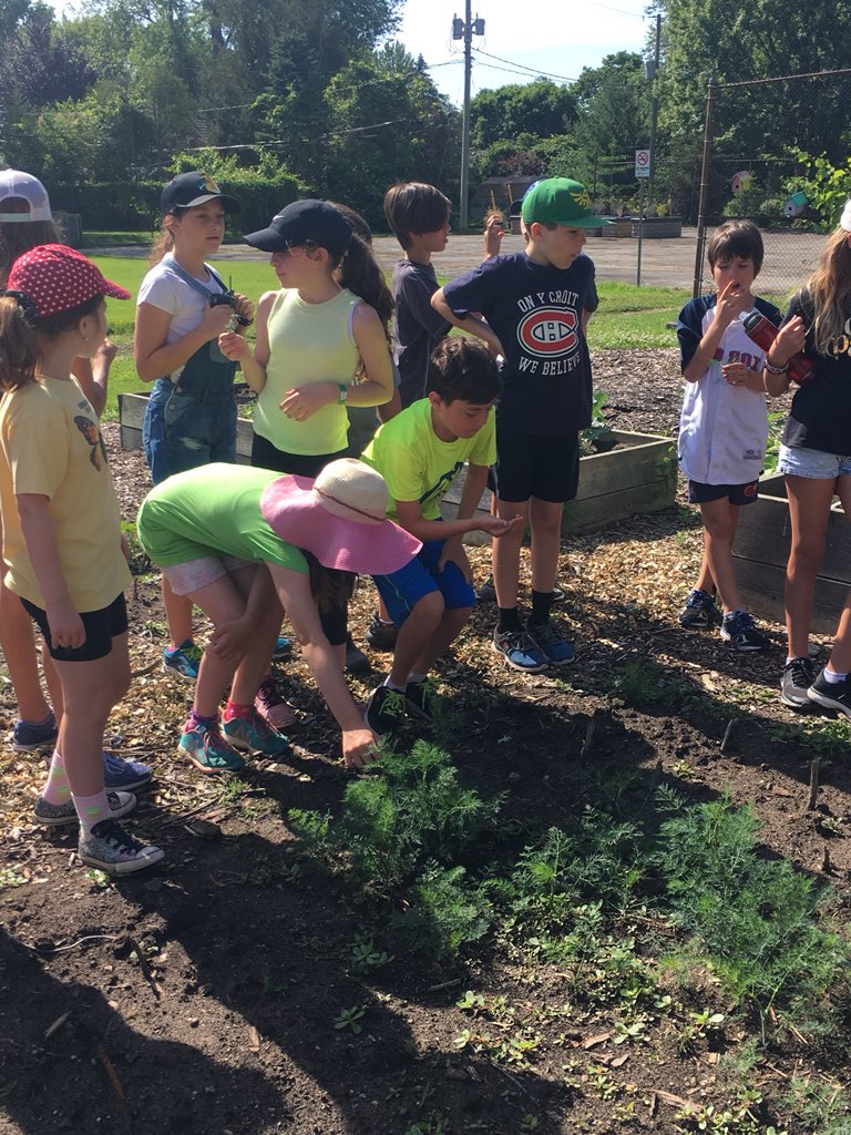 JGeddes56's tweet photo. Learning, helping, and exploring in the Kingsville Access Community Garden!  🍓🥦🍅🥒#@KingsvilleCobra @accesscounty https://t.co/YAmDda8Inw