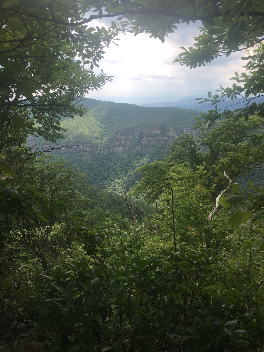 TrailswithChan's tweet photo. So for the wait! Thea are pictures from my hike from Table Rock in the Linville Gorge. #3317mp https://t.co/8fCFboZMlf