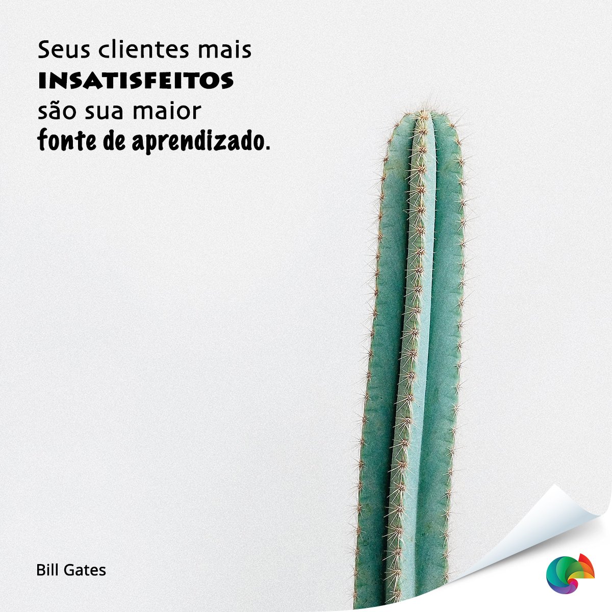 Web Personalization tweet media