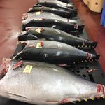 Photo by Pierless Fish Corp (@PierlessFishBK)