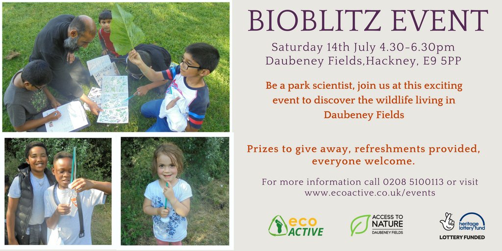 daubeneynature's tweet photo. It's almost time for the Daubeney Fields Bioblitz again. More prizes to give away, wildlife to be found and fun to be had. See you there Saturday 14th July 4.30-6.30pm in Daubeney Fields @ecoACTIVE_UK https://t.co/mDnulrozSw