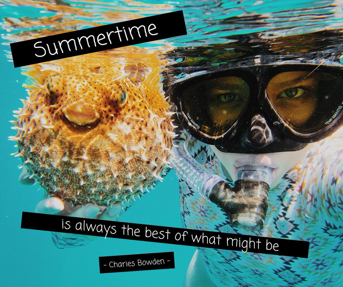 AltitudesCo's tweet image. 