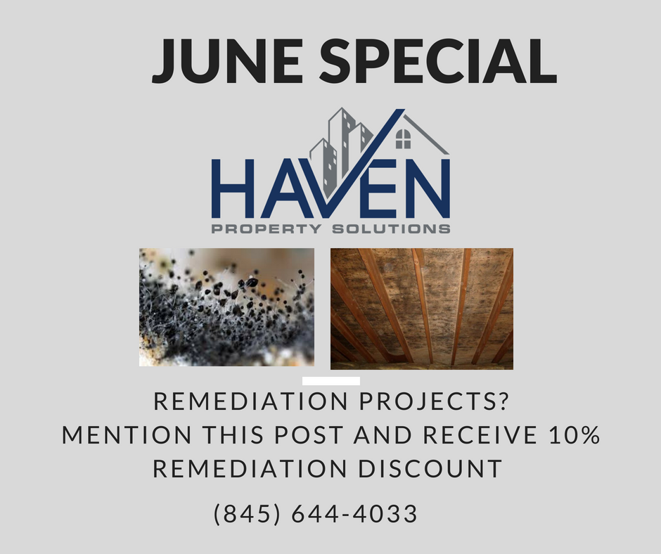 Ready to tackle your property's mold removal
project? Call Haven and get a free estimate! If your project is booked in the
month of June, receive a 10% remediation work discount. havenps.com . (845) 644-4033 #mold #remediation #JuneSpecial