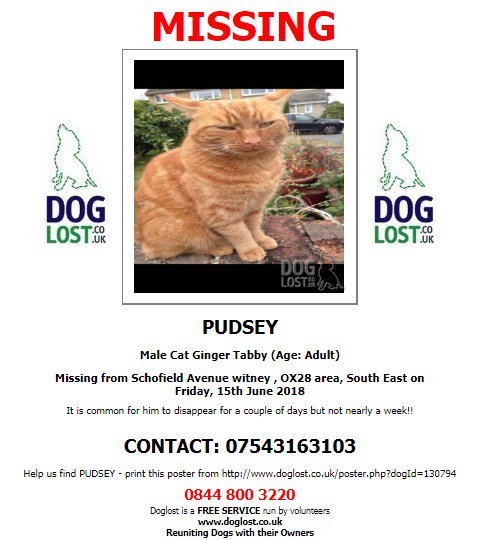 DogLostUK's tweet photo. #LOST #CAT  PUDSEY  Male #Witney  #OX28  
Friday, 15th June 2018
#LostCat  #ScanMe @VetsGetScanning  @SAMPAuk_
 https://t.co/A2bJ3kICn1 https://t.co/xf892bWUZ7