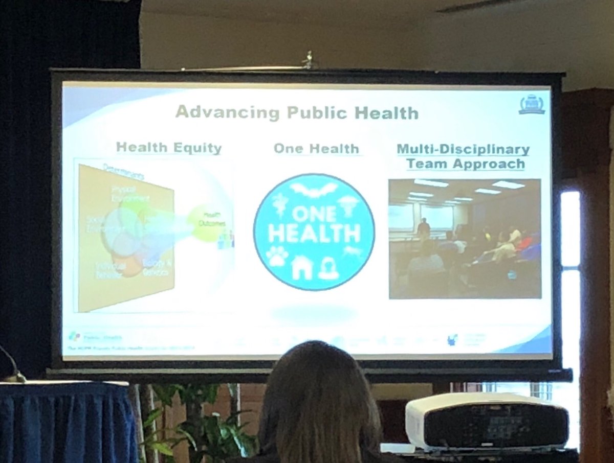 AngieMcGowan's tweet photo. How Harris County works to advance #publichealth. @ushahmd #oneillsummerprogram #sdoh https://t.co/SZyyou01xe