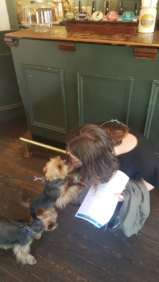 S.P.I.R.E making a canine friend