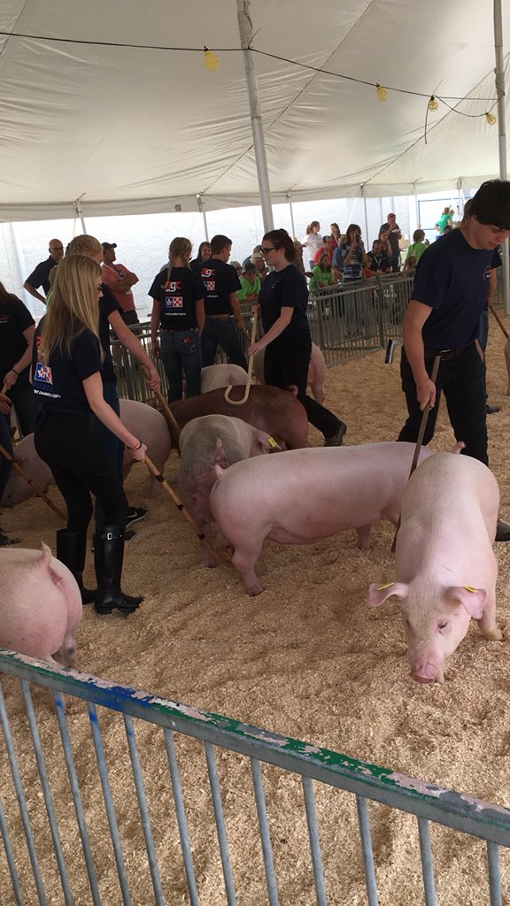 OntarioPorkNews's tweet photo. #baconmakerclassic Bacon Strip Showmanship is underway @OntPorkCongress #KindOfAPigDeal #ontarioporkproud https://t.co/bST0xTi0HG