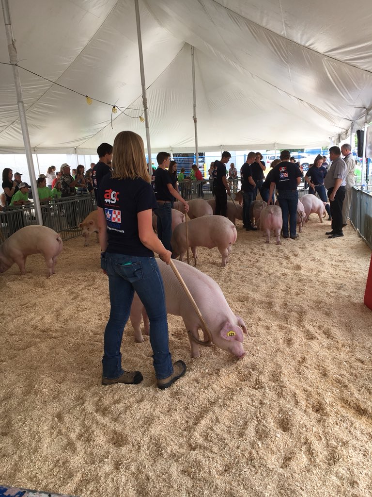 OntarioPorkNews's tweet photo. #baconmakerclassic Bacon Strip Showmanship is underway @OntPorkCongress #KindOfAPigDeal #ontarioporkproud https://t.co/bST0xTi0HG