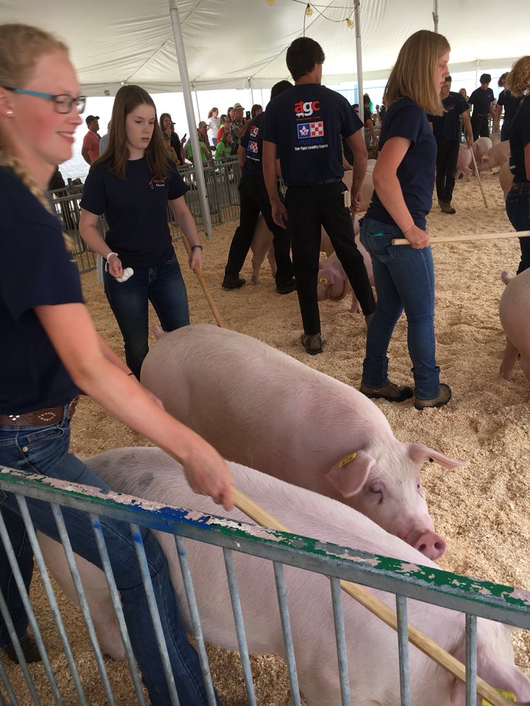 OntarioPorkNews's tweet photo. #baconmakerclassic Bacon Strip Showmanship is underway @OntPorkCongress #KindOfAPigDeal #ontarioporkproud https://t.co/bST0xTi0HG