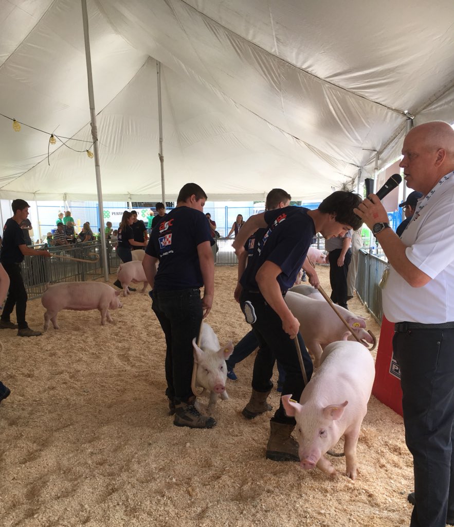 OntarioPorkNews's tweet photo. #baconmakerclassic Bacon Strip Showmanship is underway @OntPorkCongress #KindOfAPigDeal #ontarioporkproud https://t.co/bST0xTi0HG