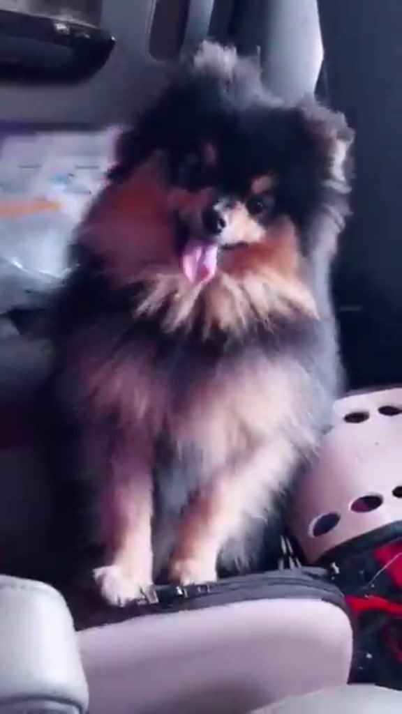 Betty 🐻⁷ tweet media