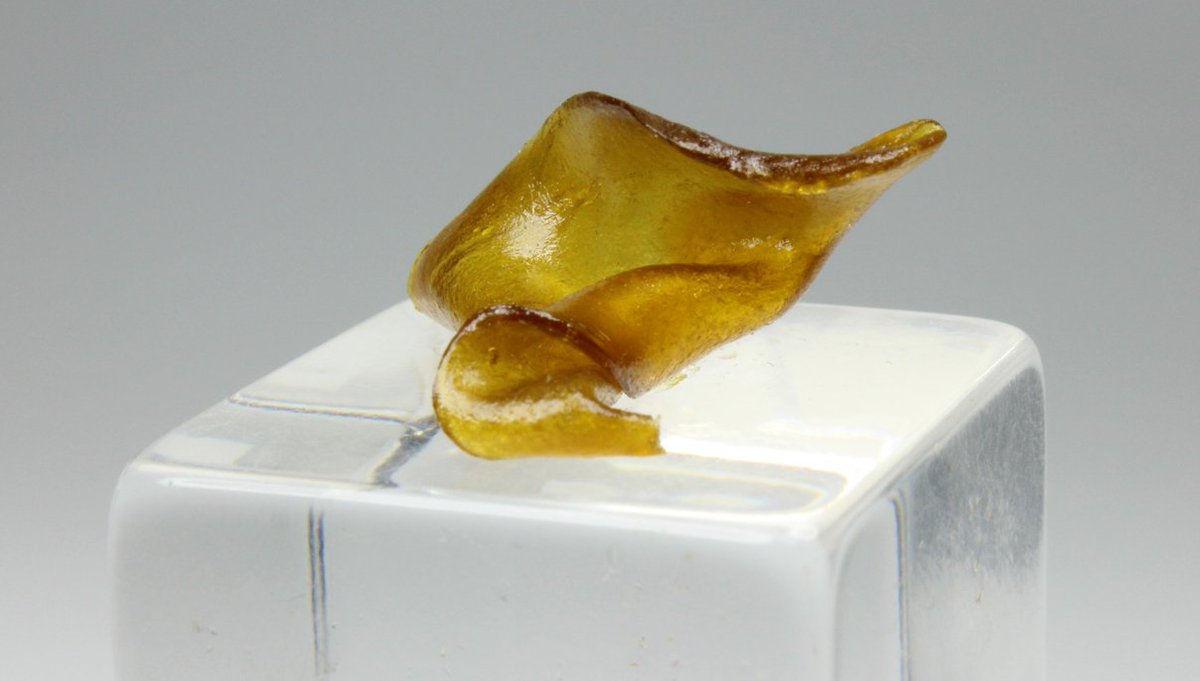 telegraphhealth's tweet photo. Blueberry Diesel
By
Critical!!!!
Sold in 1/2 grams

#telegraphhealthcenter #cartridge #thc #cbd #dabbers #wax⠀
#shatter #smoke #high #420 #dab #concentrate #puff  #bayarea #california #dank #smoke #preroll #joint #weedstagram #stonernation #potheadsociety #highlife #weedshots https://t.co/6RsJl4cPM3