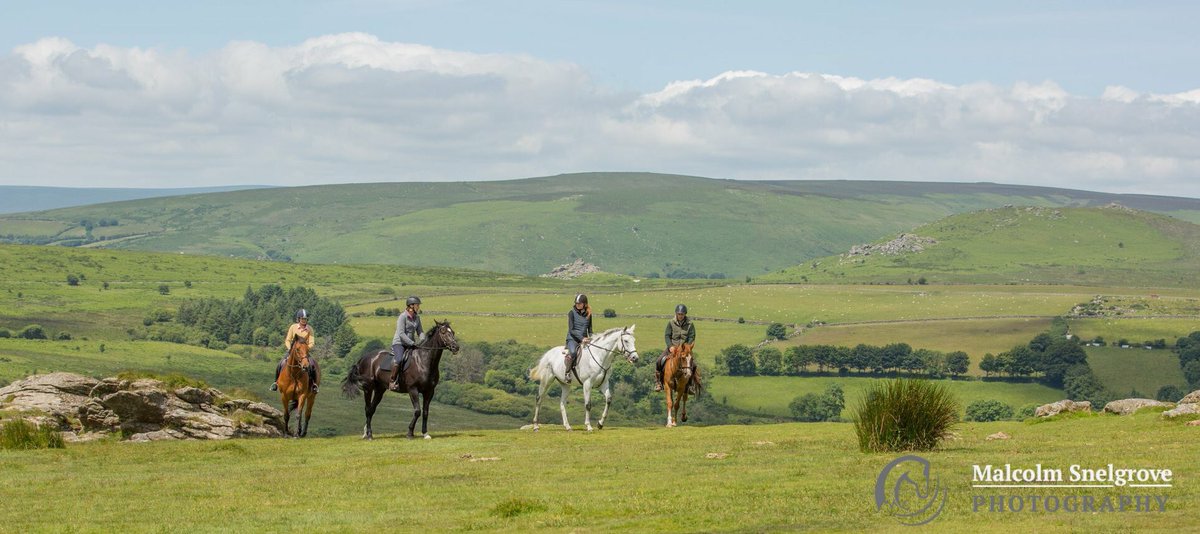 Glorious summer days - perfect for discovering #Dartmoor.