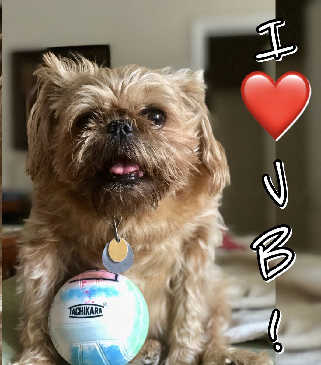 BladeCoach's tweet image. Winner for sure! #ImageSTRONG #NationalSelfieDay