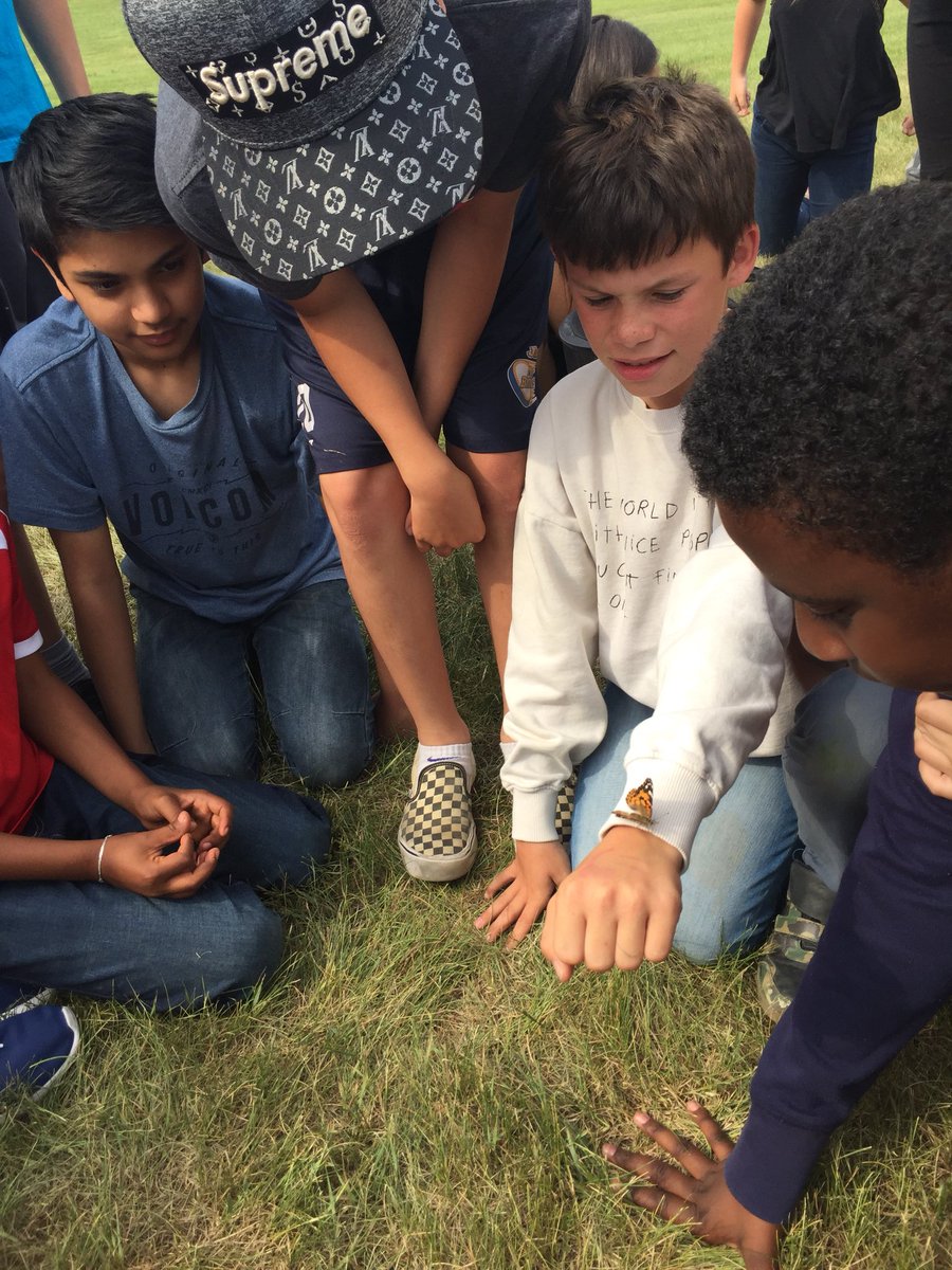 ms_ingram12's tweet photo. Releasing butterflies with the Grade 6’s! #grade6fun #beautyintheworld #itlandedonhim @DrClarkSchool @JRoy65 https://t.co/LRjQ4aBCok