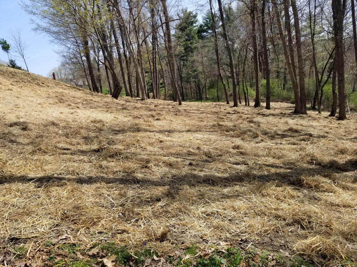 excavatingand's tweet photo. There is no company like Eiler Excavating &amp; Construction that will provide Magnificent Grading Services in Apollo, PA!

Call us today!

https://t.co/wS1yZidRGq

#EilerExcavatingAndConstruction
#Grading
#Services
#Apollo https://t.co/mG2gZxHCBa