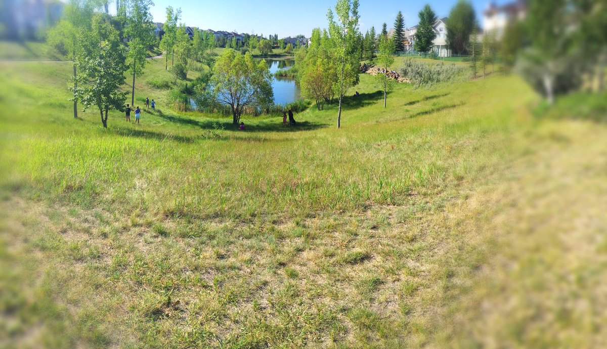 CalliMac10's tweet photo. Talking about sharing and fairness by reading the Coast Salish story, “Crow &amp; Little Bear”. Relating to nature by journalling at the pond today. How are you celebrating #NationalIndigenousPeoplesDay? #gr5 #edchat #okotoks #alberta #canada @DMGSchool @fsd38 https://t.co/jcmuSWUiSu