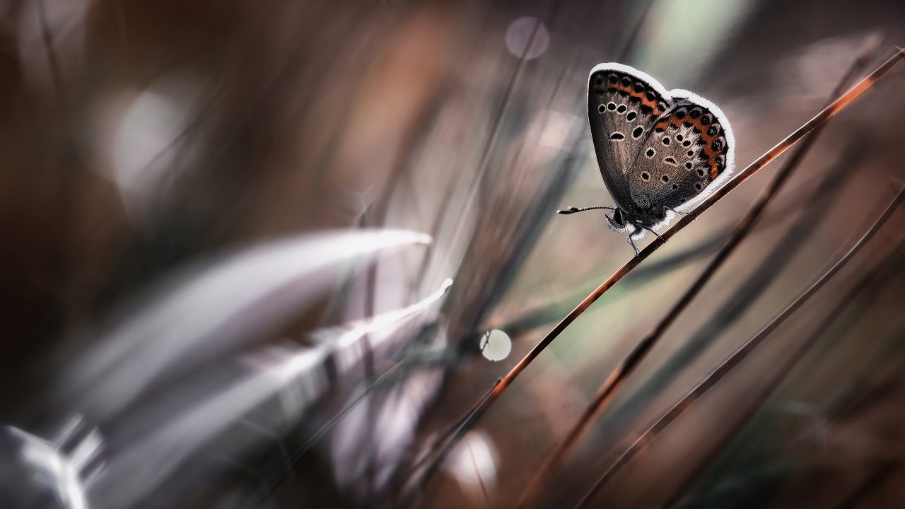 Best Wallpapers on Twitter: Best Wallpapers on Twitter:
