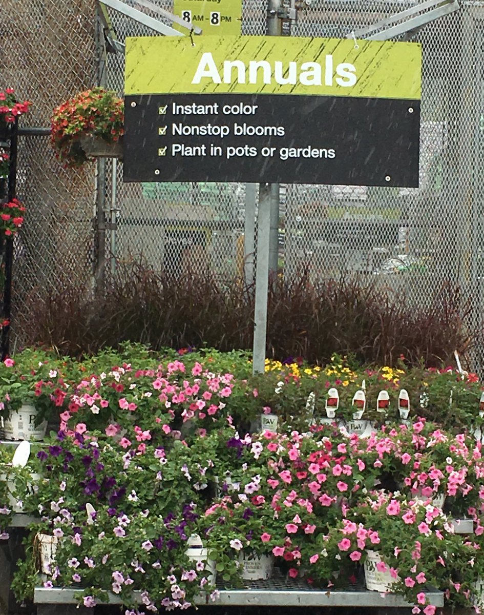 7Karthur's tweet photo. 🌺⛈Lenoir City Home Depot has lots of colorful annuals popping up in the middle of this stormy day!⛈🌺#HD740 #Knoxville #vanwingerdenstyle @jaybisping @Jaydeckard @NealMattison @CamDaven @VWIGreenhouse @Brandimm82 https://t.co/yLPuH3vjPT