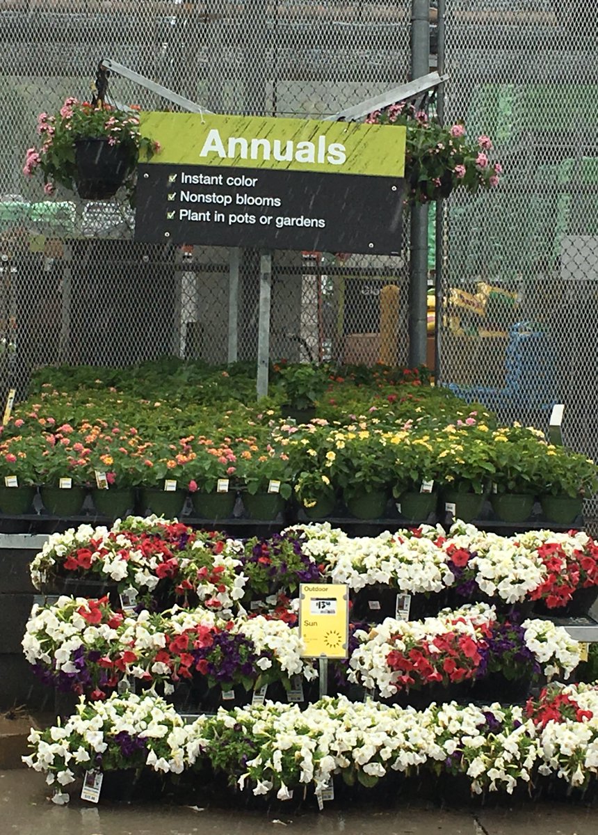 7Karthur's tweet photo. 🌺⛈Lenoir City Home Depot has lots of colorful annuals popping up in the middle of this stormy day!⛈🌺#HD740 #Knoxville #vanwingerdenstyle @jaybisping @Jaydeckard @NealMattison @CamDaven @VWIGreenhouse @Brandimm82 https://t.co/yLPuH3vjPT