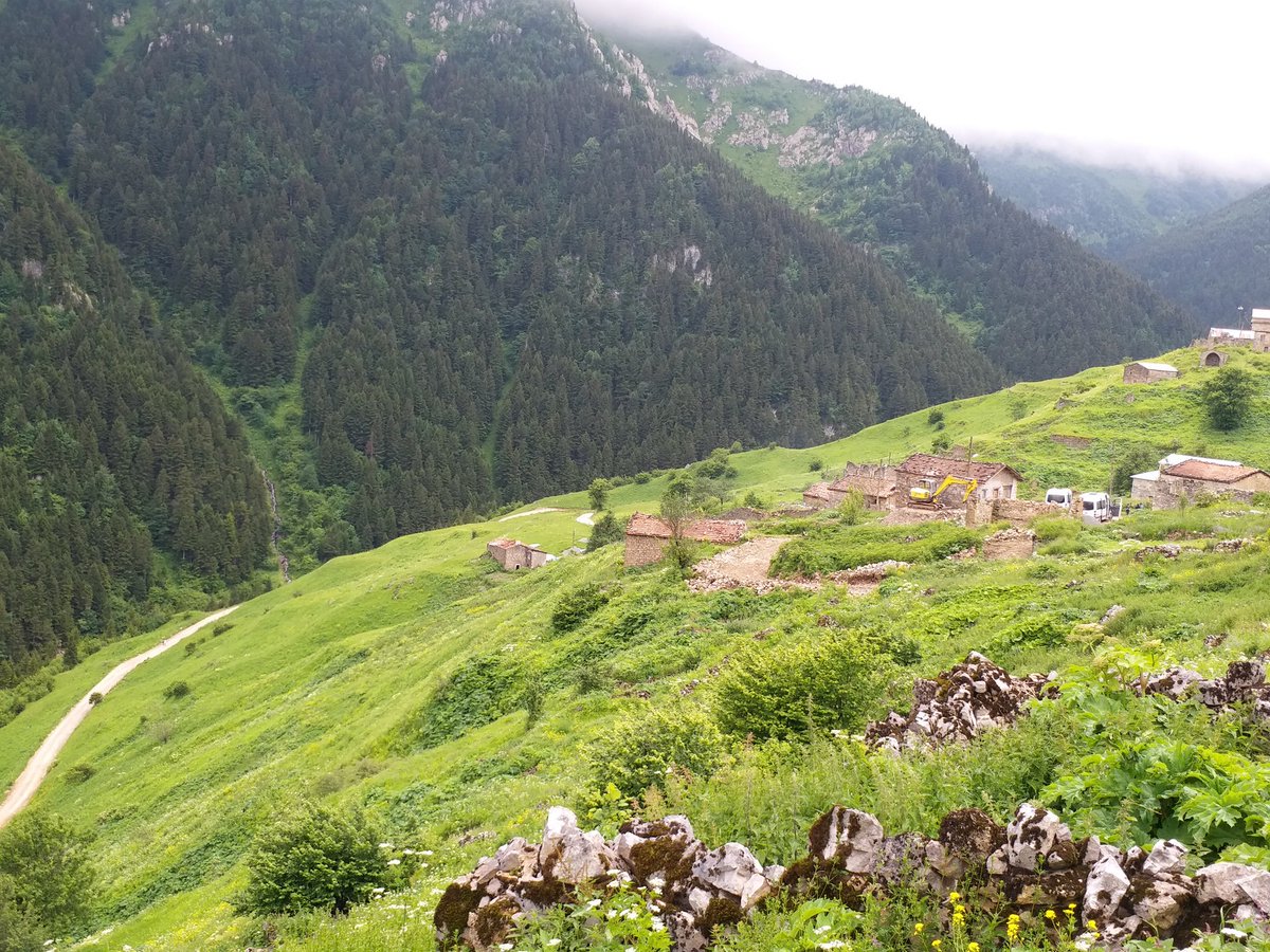 SchoolWithoutWalls tweet media