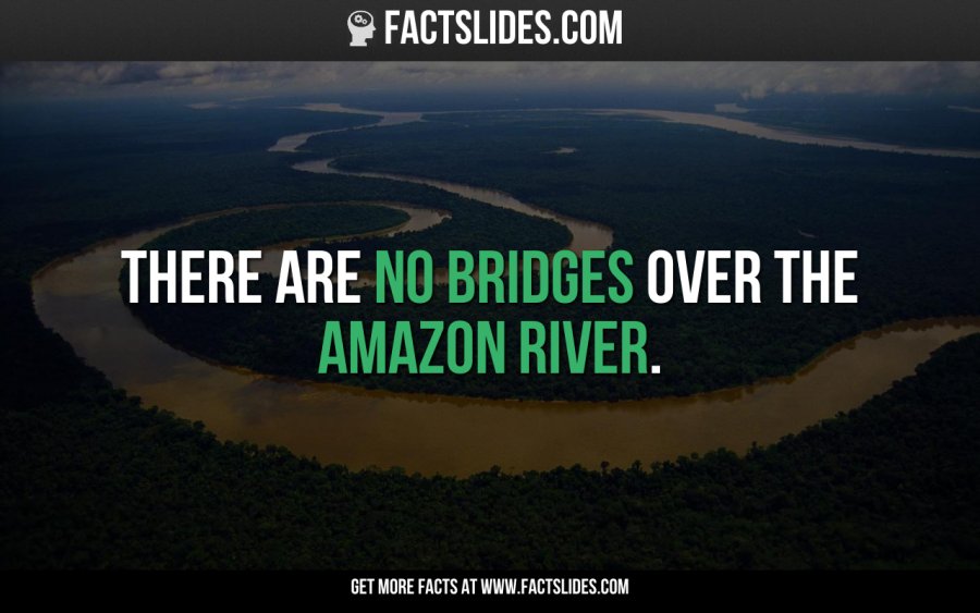 Incredible.