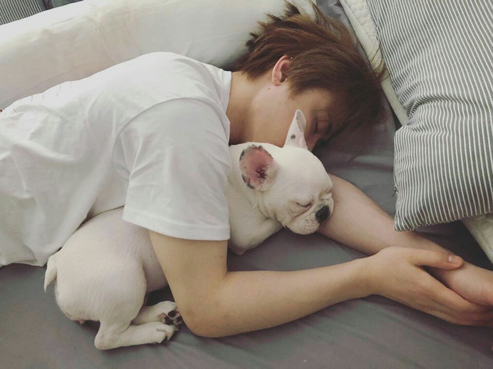 ukwonpic's tweet photo. sleepy boi https://t.co/gkeTvQWoq9
