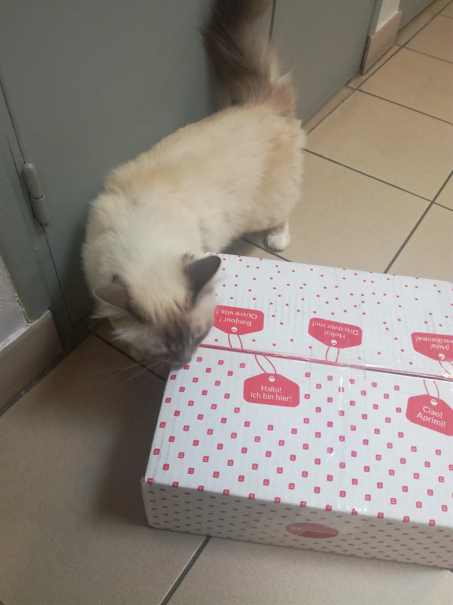 dawny_pingouin's tweet image. @TestaboxFR de juin arrivée et Lithium se demande bien ce qu'elle contient.
Réponse Samedi
Un indice ? 💎
#lithium_cat #testabox #surprise #box #test #essai #CatsOfTwitter #cats #chats