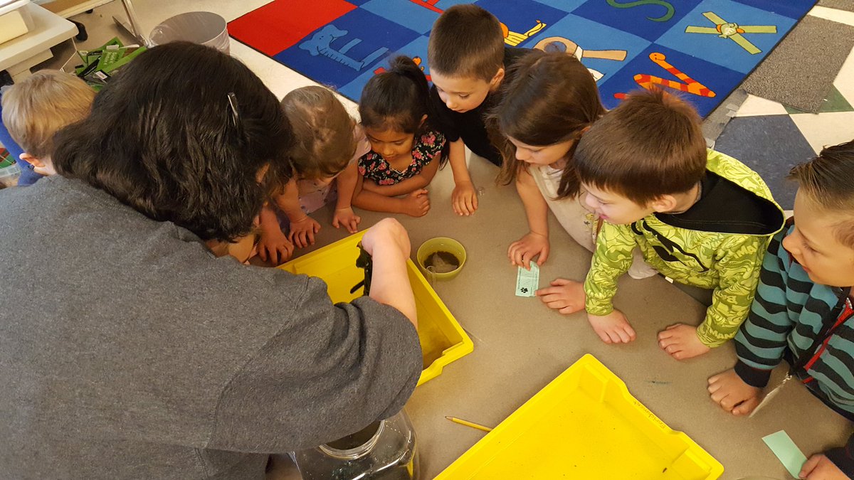 Mychael_Irwin2's tweet image. Facilitating learning is so 1990s. We need to help kids be creators of their learning.   Jeff Utecht #FutureReadyAdmin