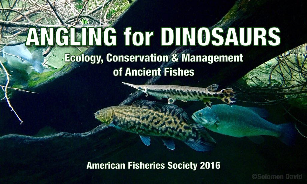 SolomonRDavid's tweet photo. @donaldorth @AmFisheriesSoc Great post! Thanks for writing and sharing! Look out to our special issue “Angling for Dinosaurs” coming out in @AmFisheriesSoc TAFS next month; based on our #AFS146 symposium of same name (includes a couple studies you cited too!) https://t.co/2kndRVPVkJ