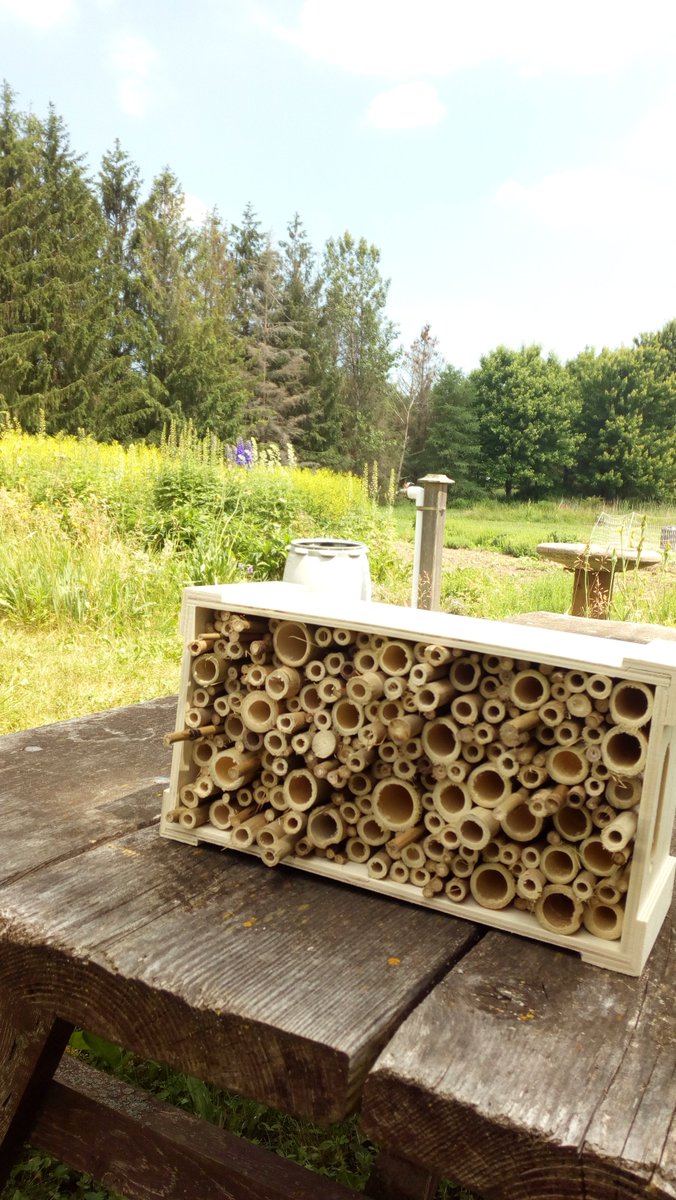 samcasey01's tweet photo. Brought our bee hotel to the Urban Organic Farm, as this location is a pollinator hot spot for a wide variety of pollinators! #pollinationweek https://t.co/CBePgWphQj