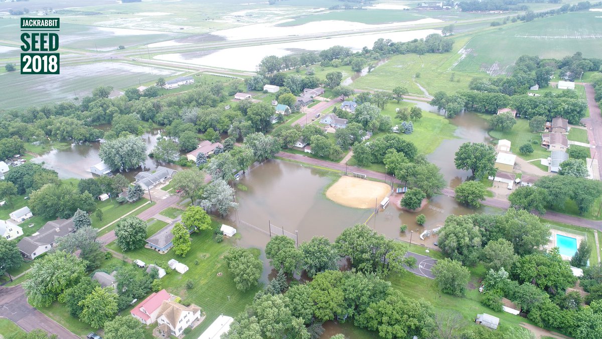 JackrabbitSeed's tweet photo. Tabor 2018 Flood https://t.co/lJkGqE5wSc